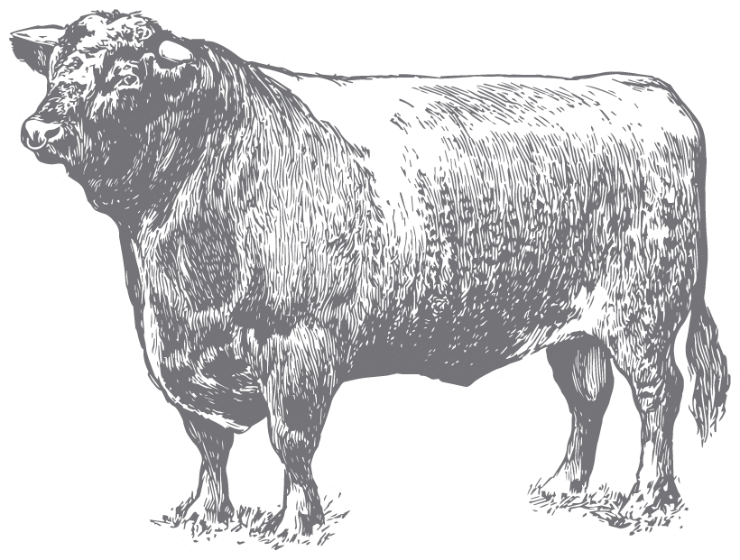 Cow Tipping & Other FAQs 1