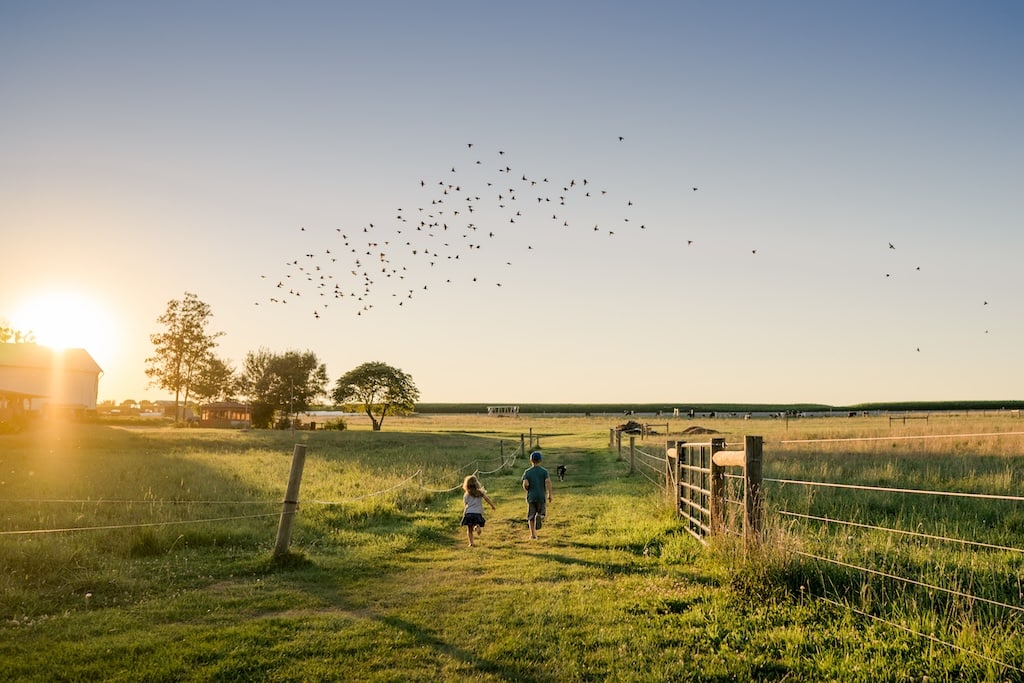 Enjoy these fun Things to do in Lancaster, PA Near our Farm, photo of kids running wild in the farm fields