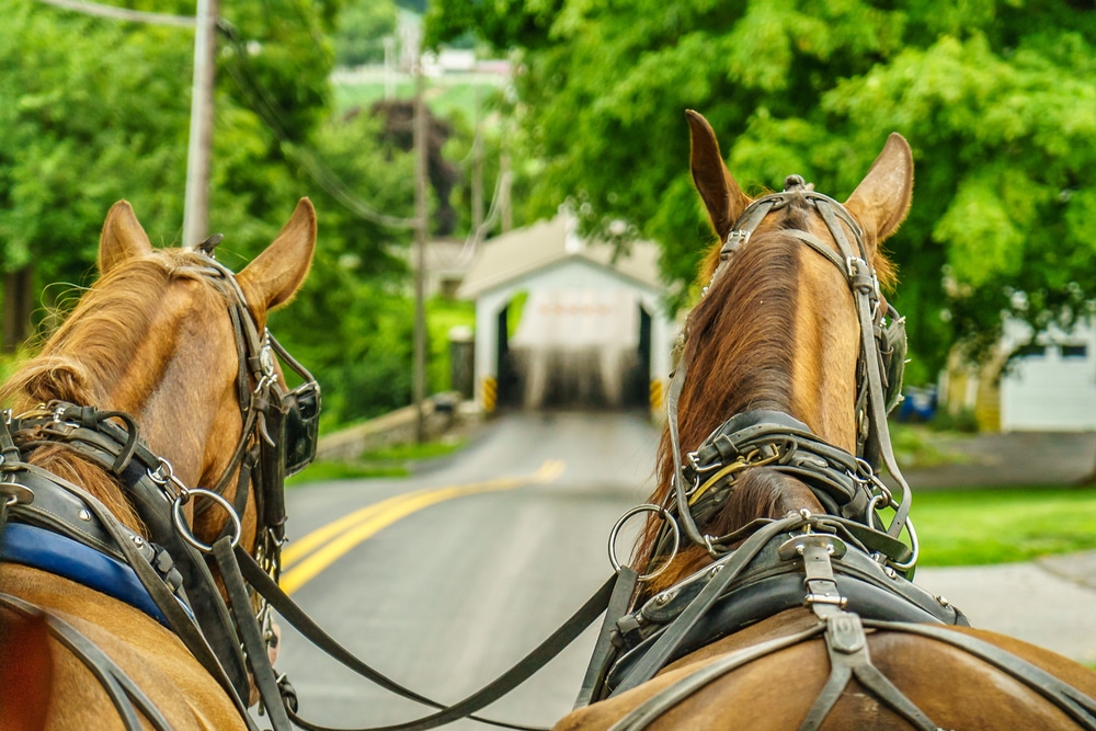 best things to do in Lancaster PA, photo of a horse drawn carriage