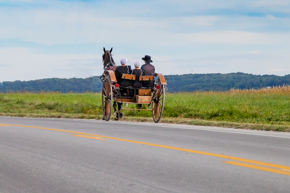 Amish in Lancaster