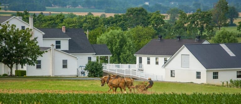 Why You Should Stay on a Farm with Animals This Summer 7 House and buildings with horse-drawn cultivator working the land on an Amish Farm in Lancaster County.