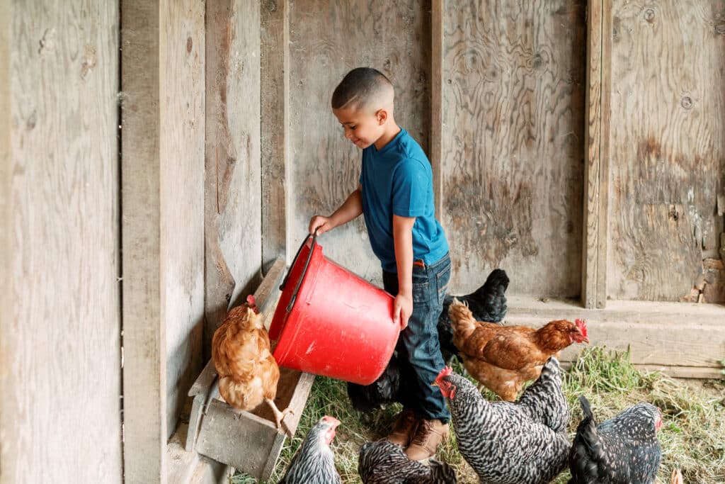 Why You Should Stay on a Farm with Animals This Summer 4 Little boy is feeding a number of chickens. Your kids will love a stay on a farm with animals.