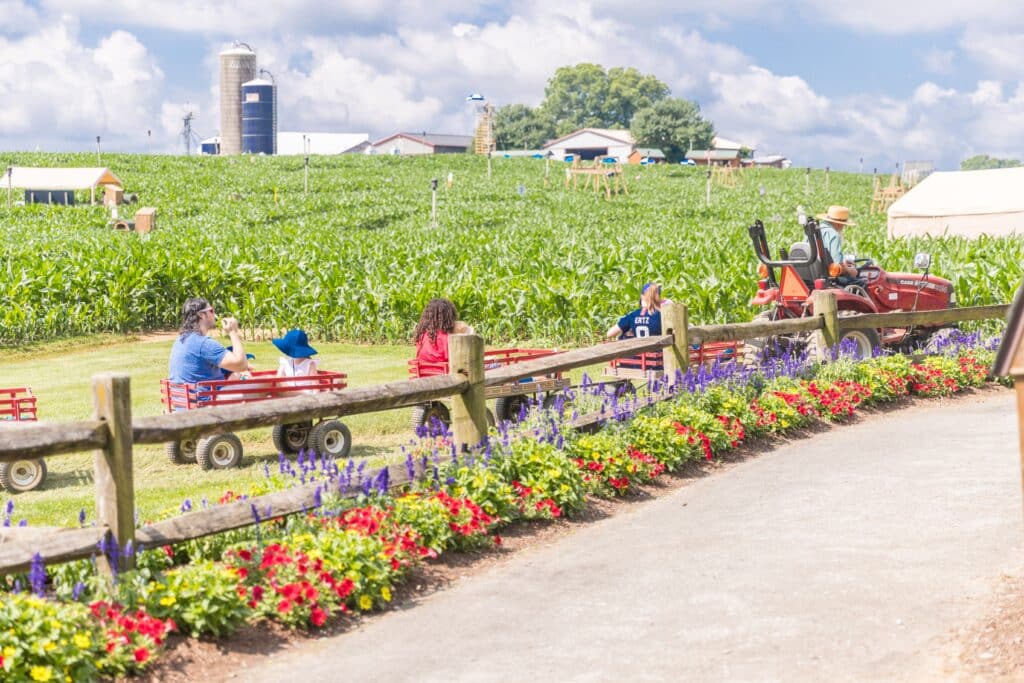 The Best Kids' Activities in Lancaster, PA 4 A visit to Cherry Crest Adventure Farm is one of the best kids activities in Lancaster PA when you visit our farm stay in PA.