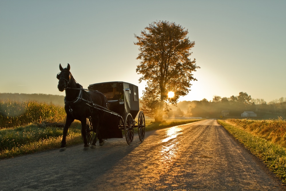 Amish Horse and Buggy in Amish Country in Pennsylvania at dusk.