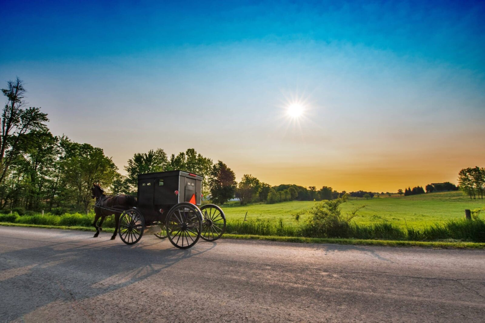 Horse and Buggy in Amish Country in Pennsylvania